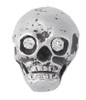 Skull w/birthstone lapel pin