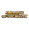 Employee of the Month 2 Lapel Pin