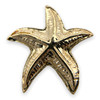 Golden Starfish Story Card & Lapel Pin