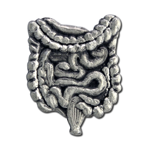 Human Intestines Lapel Pin