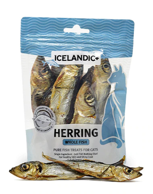 Icelandic Herring Whole Fish