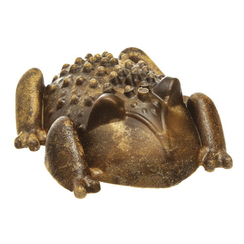 Chew-A-Bulls Horned Toad