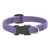 Lupine Pet Eco Collar Lilac