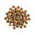 Petcurean Go! Carnivore Dog Kibble Salmon & Cod