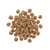 PetCurean Go! Sensitivities Dog Kibble Salmon