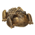 Chew-A-Bulls Horned Toad