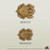 Chew-A-Bulls Horned Toad