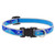 Lupine Highlight Collar Blue-Paws