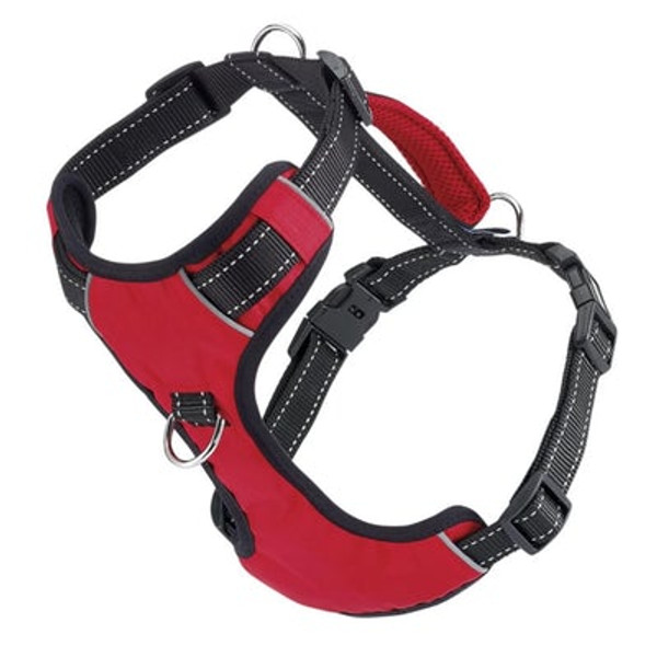 Chesapeake Harness- Bay Dog