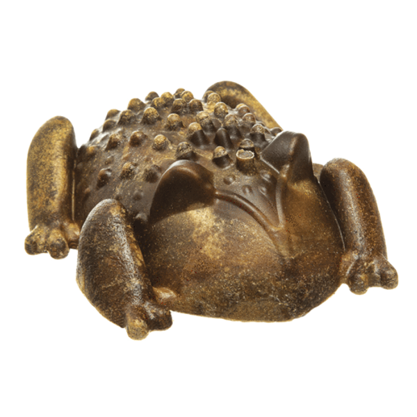 Chew-A-Bulls Horned Toad