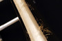 Eastman ETB 829 Large Bore Tenor Trombone