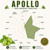 US Apollo Hop Pellets 1 oz