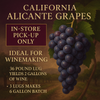California Alicante Grapes