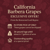 California Barbera Grapes