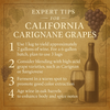 California Carignane Grapes