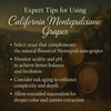 California Montepulciano Grapes