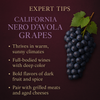 California Nero D'Avola Grapes