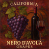 California Nero D'Avola Grapes