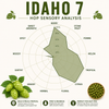Idaho 7 Hop Pellets 1 oz
