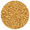 Warminster Pale Ale 3L Malt 55 lb Crushed