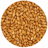 Briess American Honey Malt 10 lb
