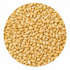 Raven Czech Bohemian Pilsner Malt 55 lb Crushed