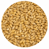PlatinumSwaen Spelt 3L Malt 55 lb Crushed