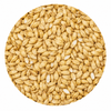 Montana Craft 2-Row Malt 10 lb