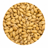 Montana Craft Pilsner Malt 55 lb
