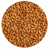 Briess Caramel 30L Malt 50 lb Crushed