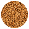 Briess Caramel 40L Malt 50 lb Crushed