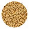 Briess Distillers Malt 50 lb Crushed