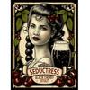 Seductress Black Cherry Stout Beer Kit