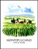 Montepulciano Wine Labels 30 ct Old Style