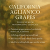 California Aglianico Grapes