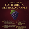 California Nebbiolo Grapes
