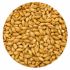 Avangard Malz Pale Ale Malt 55 lb Crushed