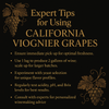 California Viognier Grapes