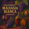 California Malvasia Bianca Grapes