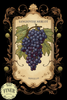 Sangiovese Merlot Novello Finer Wine Kit
