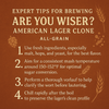 Are You Wiser? American Lager Clone Beer Kit - All Grain