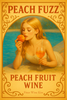 Peach Fuzz Peach Wine Kit – Finer Fruit Deluxe Series