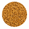 Montana Craft Malt Cara 20 (Graham Cracker) Malt 55 lb