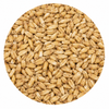 Montana Craft Malt MCM Malted Oats (3L) 10 lb