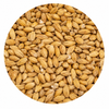 Swaen Munich Light Malt 1 lb