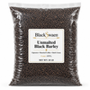 BlackSwaen Unmalted Black Barley 10 lb
