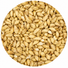 Avangard Malz Premium Pilsen Malt 1 lb