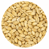 Avangard Malz 6-Row Pilsen Malt 10 lb
