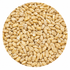 Briess Unmalted White Wheat 10 lb