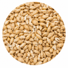PlatinumSwaen Chit Malt 55 lb Crushed